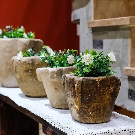 Mequedo San Pascual 別荘 *